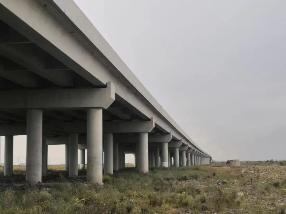 點贊！浙江省科學技術進步獎二等獎花落公路工程建筑領域